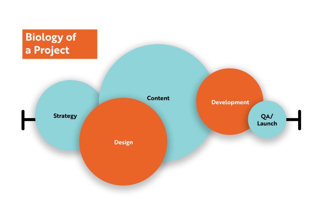 Infographic showing the stages of a project along a timeline in overlapping circles