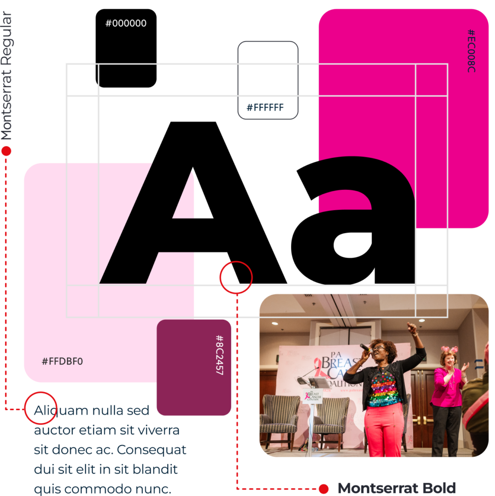 PBCC brand assets collage including colors and fonts