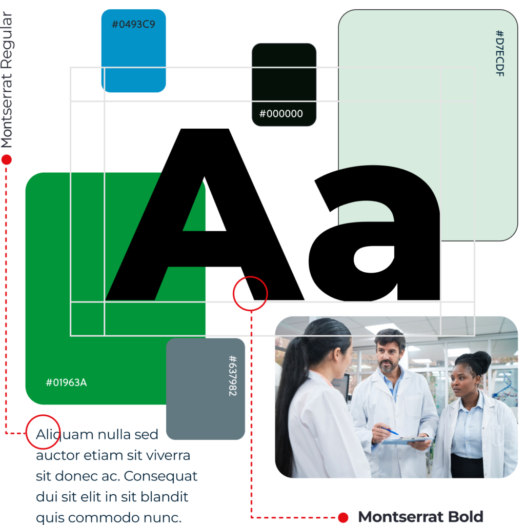 A collage of PPA's brand assets including imagery, colors, and typography.